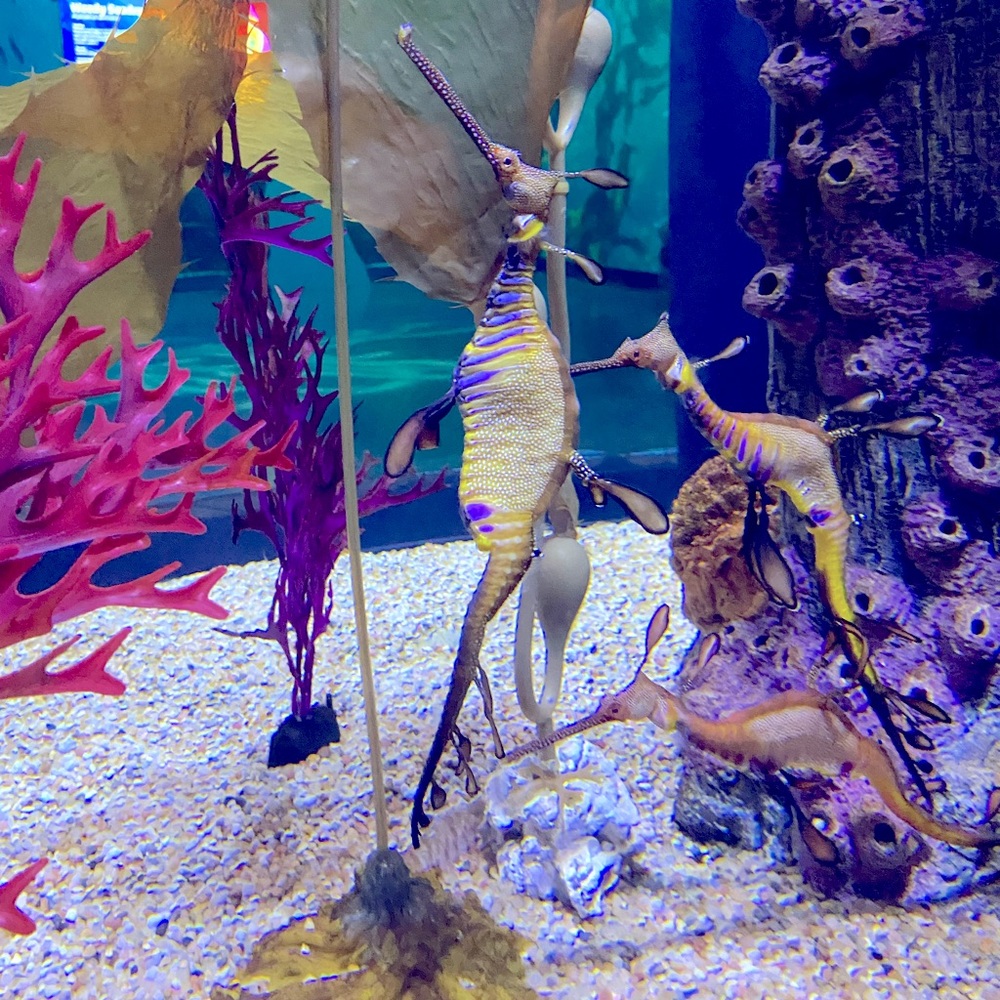 Meet your Posher, Caitlin